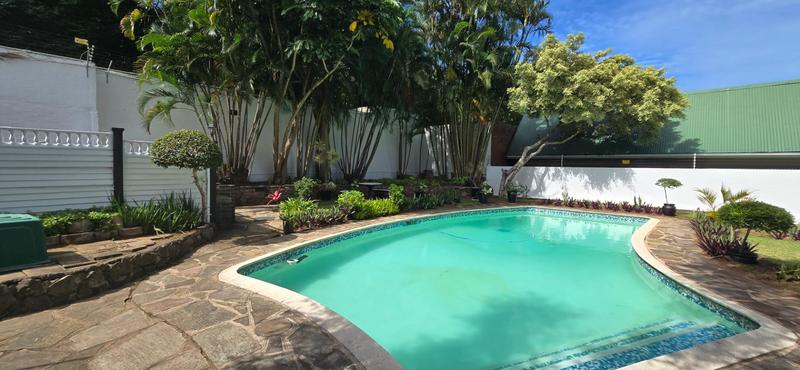 To Let 2 Bedroom Property for Rent in Morningside KwaZulu-Natal
