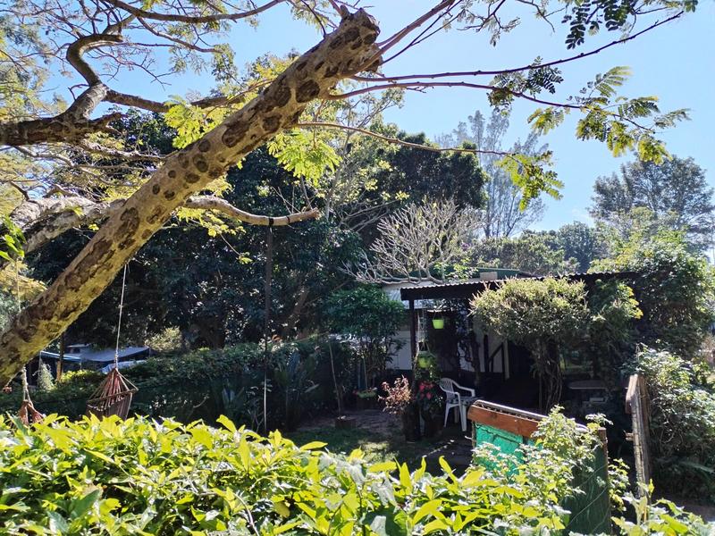 1 Bedroom Property for Sale in Margate KwaZulu-Natal