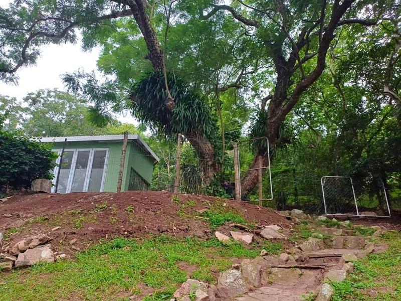 To Let 2 Bedroom Property for Rent in Berea West KwaZulu-Natal