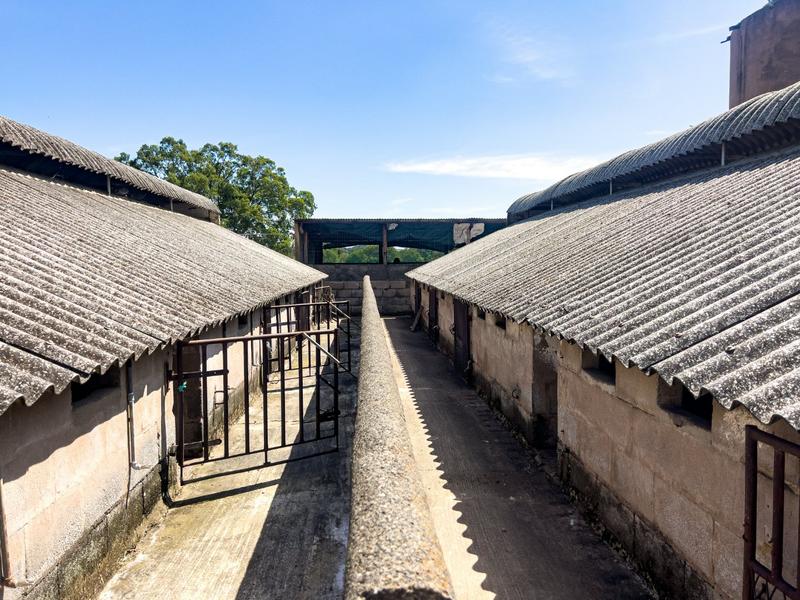 4 Bedroom Property for Sale in Estcourt Rural KwaZulu-Natal