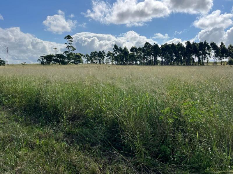 Commercial Property for Sale in Banners Rest KwaZulu-Natal