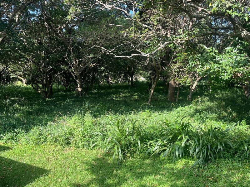 Commercial Property for Sale in Banners Rest KwaZulu-Natal