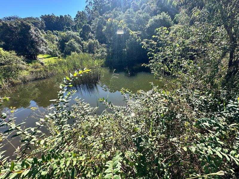 4 Bedroom Property for Sale in Dargle KwaZulu-Natal