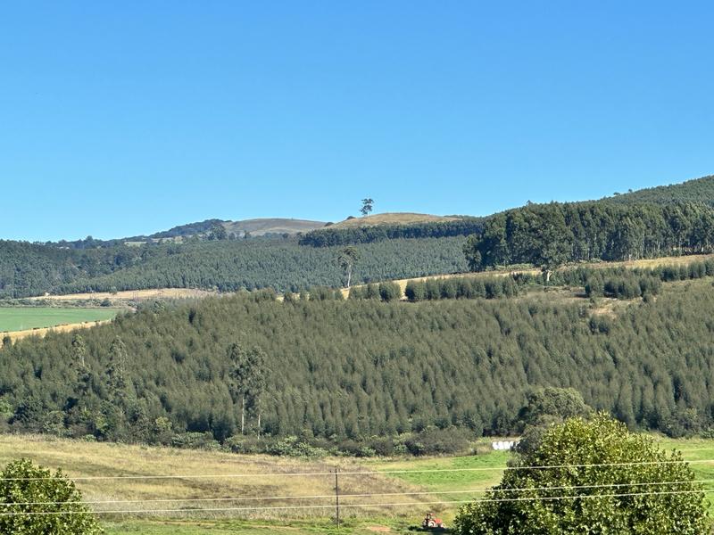 0 Bedroom Property for Sale in Dargle KwaZulu-Natal