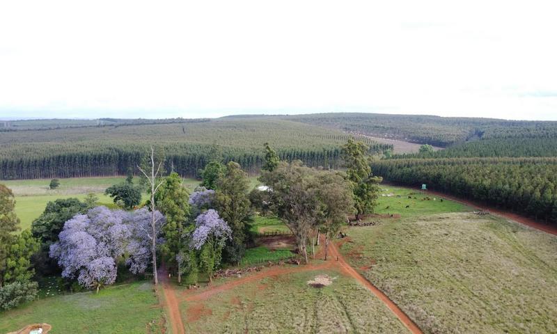 4 Bedroom Property for Sale in Greytown KwaZulu-Natal