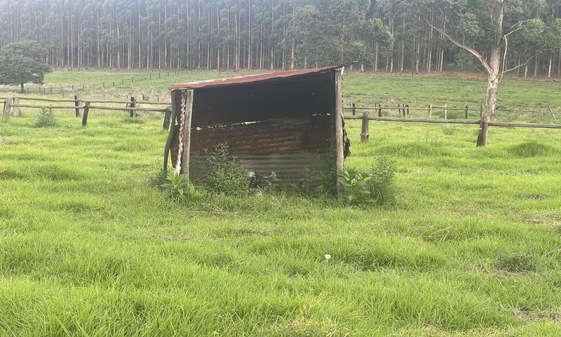 4 Bedroom Property for Sale in Greytown KwaZulu-Natal
