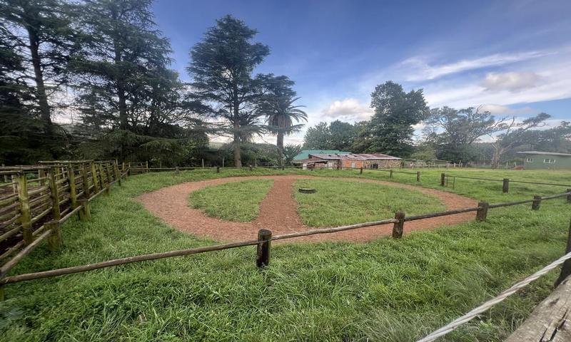 4 Bedroom Property for Sale in Greytown KwaZulu-Natal