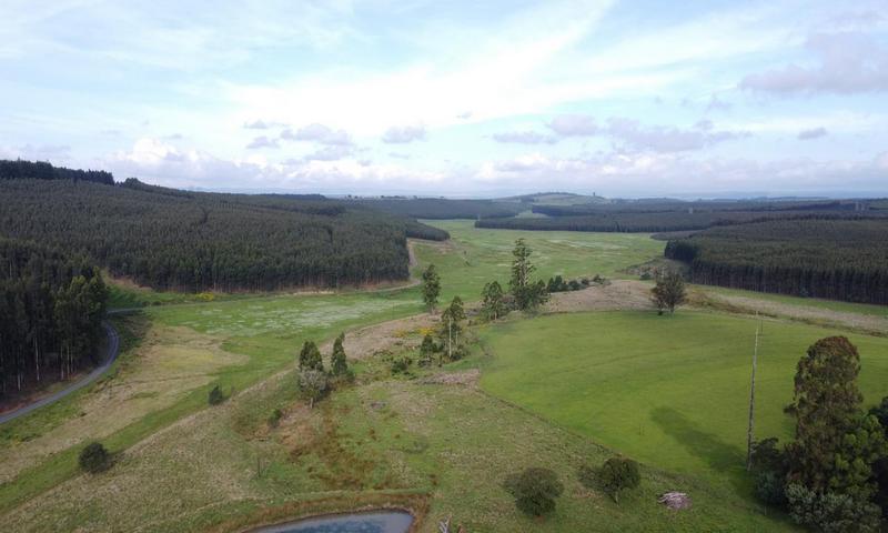 4 Bedroom Property for Sale in Greytown KwaZulu-Natal