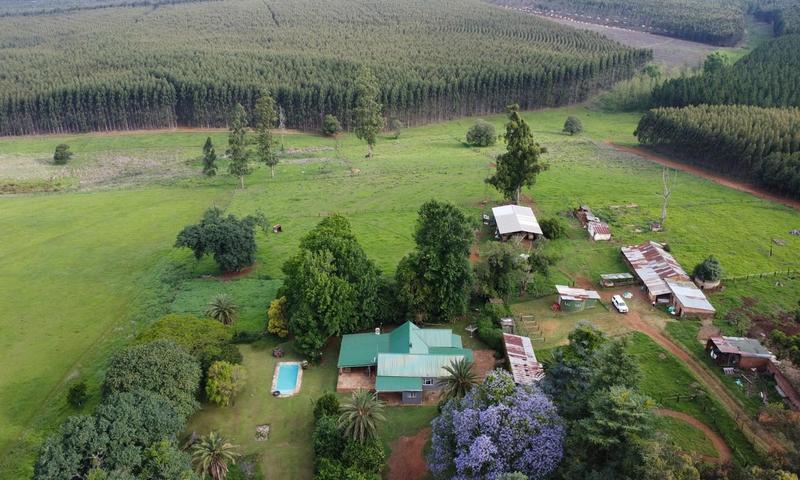 4 Bedroom Property for Sale in Greytown KwaZulu-Natal