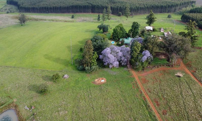 4 Bedroom Property for Sale in Greytown KwaZulu-Natal