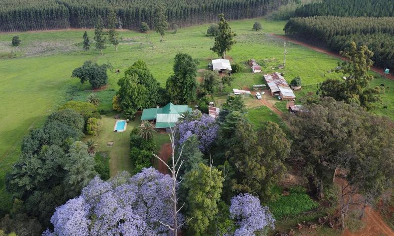 4 Bedroom Property for Sale in Greytown KwaZulu-Natal