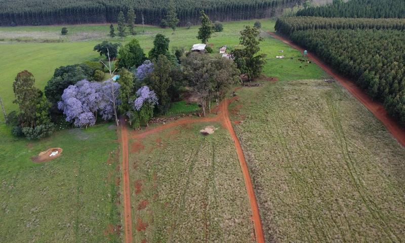 4 Bedroom Property for Sale in Greytown KwaZulu-Natal