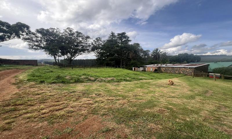 4 Bedroom Property for Sale in Greytown KwaZulu-Natal
