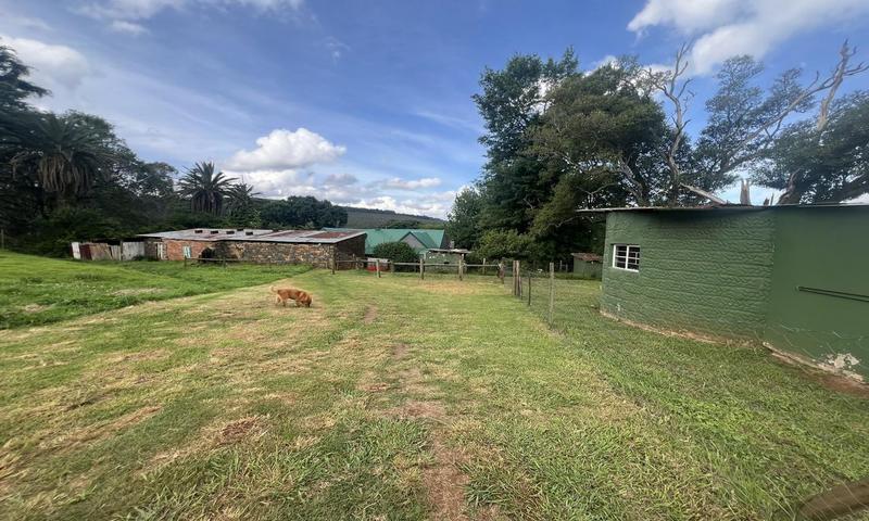 4 Bedroom Property for Sale in Greytown KwaZulu-Natal