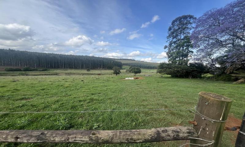 4 Bedroom Property for Sale in Greytown KwaZulu-Natal