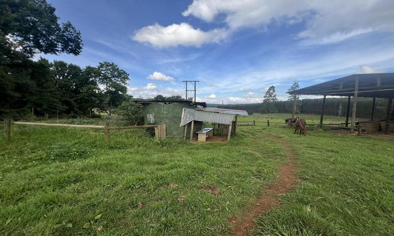 4 Bedroom Property for Sale in Greytown KwaZulu-Natal