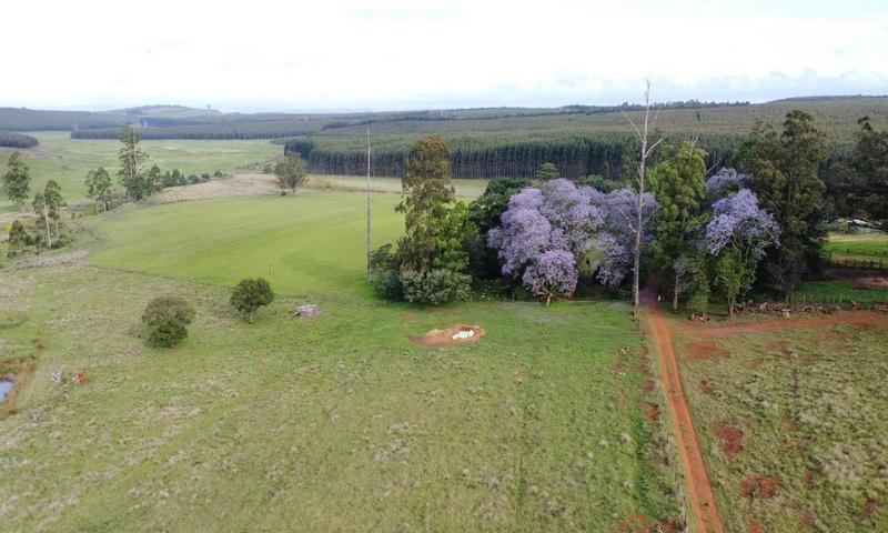 4 Bedroom Property for Sale in Greytown KwaZulu-Natal