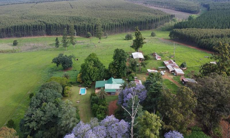 4 Bedroom Property for Sale in Greytown KwaZulu-Natal