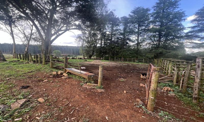 4 Bedroom Property for Sale in Greytown KwaZulu-Natal