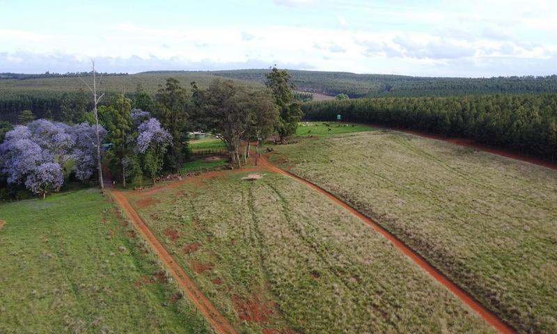 4 Bedroom Property for Sale in Greytown KwaZulu-Natal