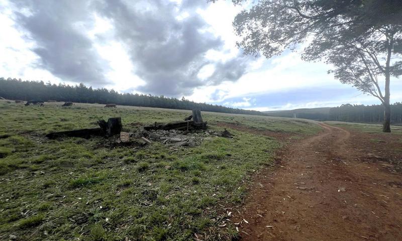 4 Bedroom Property for Sale in Greytown KwaZulu-Natal