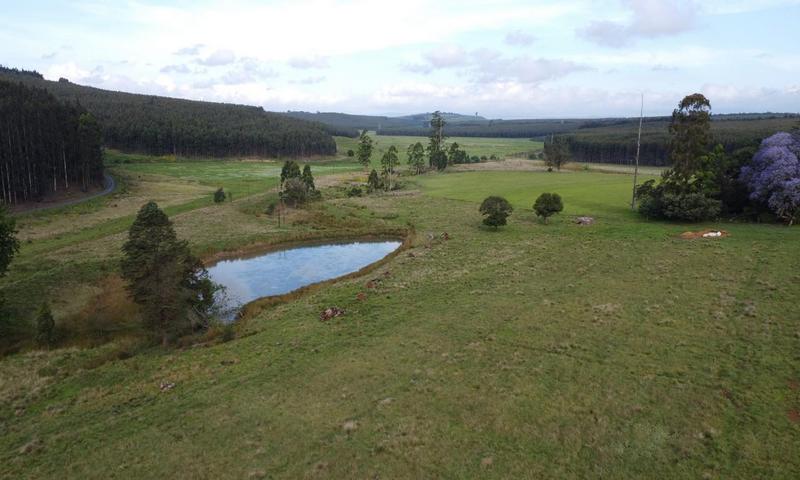 4 Bedroom Property for Sale in Greytown KwaZulu-Natal