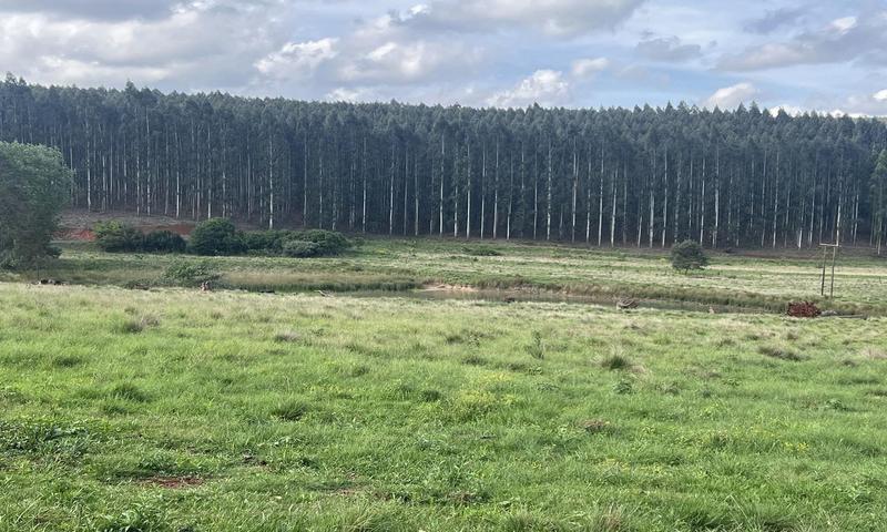 4 Bedroom Property for Sale in Greytown KwaZulu-Natal