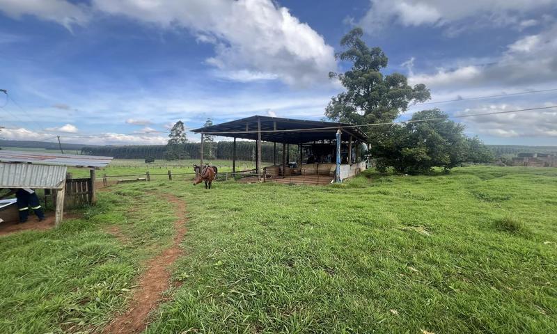 4 Bedroom Property for Sale in Greytown KwaZulu-Natal
