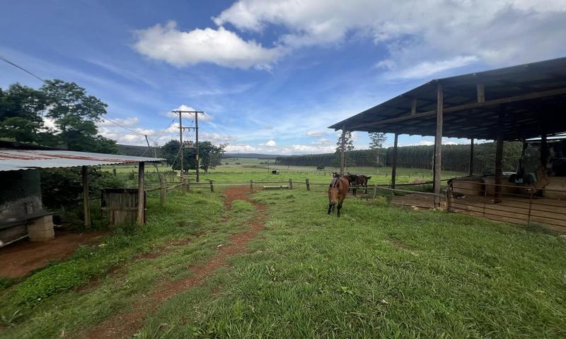 4 Bedroom Property for Sale in Greytown KwaZulu-Natal