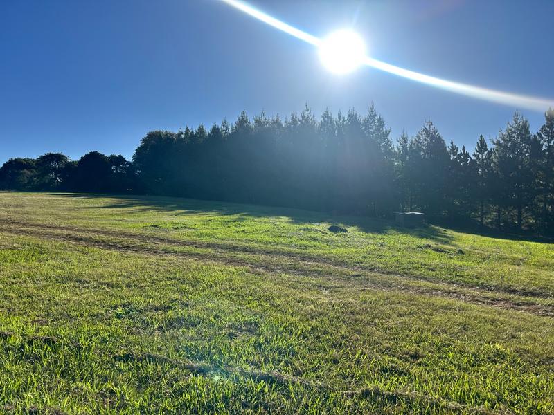 0 Bedroom Property for Sale in Dargle KwaZulu-Natal