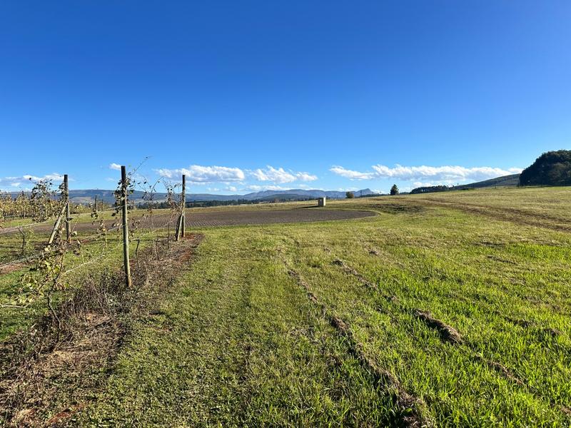 0 Bedroom Property for Sale in Dargle KwaZulu-Natal