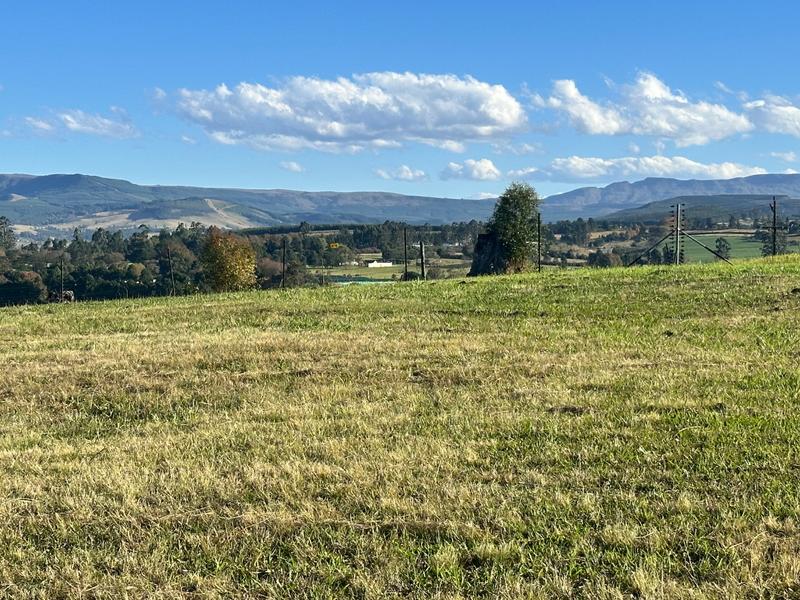 0 Bedroom Property for Sale in Dargle KwaZulu-Natal