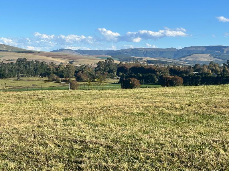 0 Bedroom Property for Sale in Dargle KwaZulu-Natal
