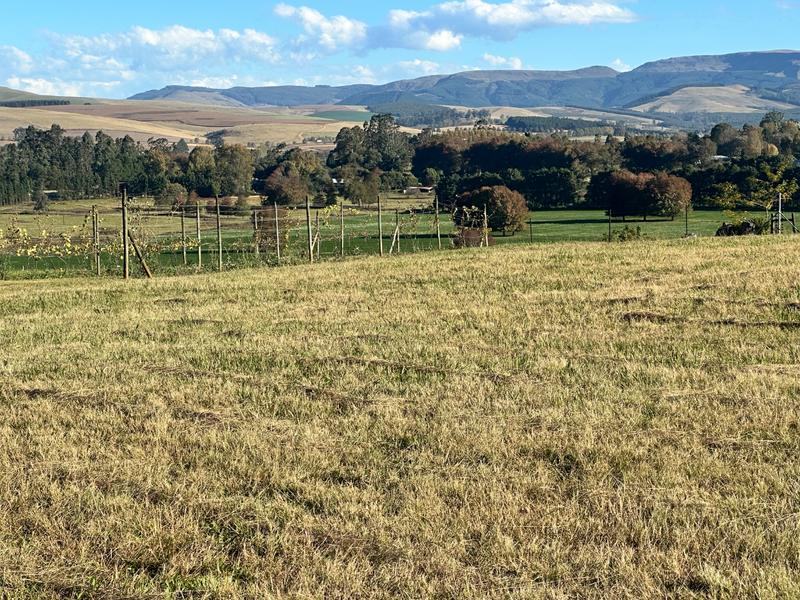 0 Bedroom Property for Sale in Dargle KwaZulu-Natal