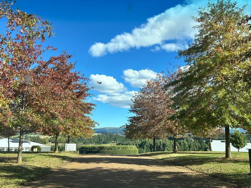 0 Bedroom Property for Sale in Dargle KwaZulu-Natal