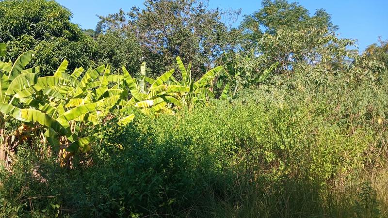 0 Bedroom Property for Sale in Kharwastan KwaZulu-Natal