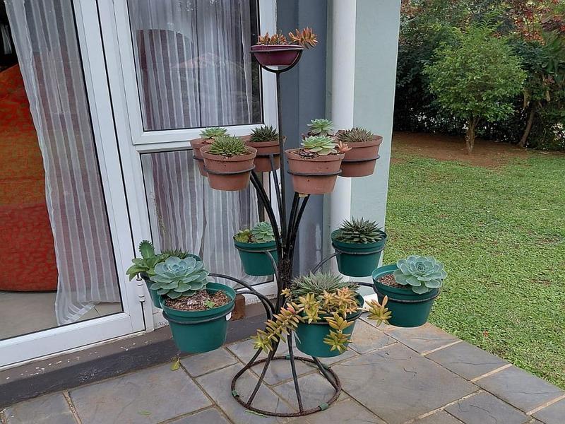 5 Bedroom Property for Sale in Trafalgar KwaZulu-Natal