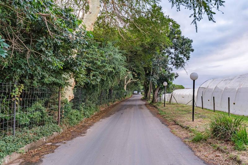 2 Bedroom Property for Sale in Sheffield Beach KwaZulu-Natal