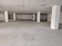 To Let Commercial Property for Rent in Musgrave KwaZulu-Natal