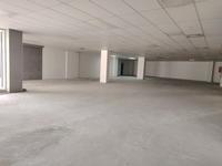 To Let Commercial Property for Rent in Musgrave KwaZulu-Natal
