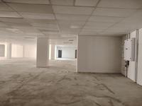 To Let Commercial Property for Rent in Musgrave KwaZulu-Natal