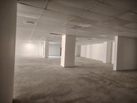 To Let Commercial Property for Rent in Musgrave KwaZulu-Natal