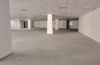 To Let Commercial Property for Rent in Musgrave KwaZulu-Natal