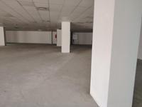 To Let Commercial Property for Rent in Musgrave KwaZulu-Natal