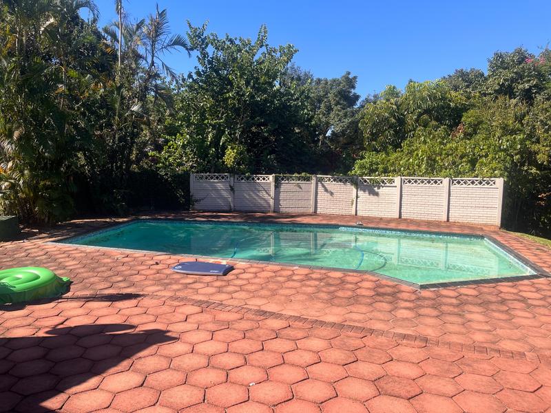 To Let 4 Bedroom Property for Rent in Westville KwaZulu-Natal