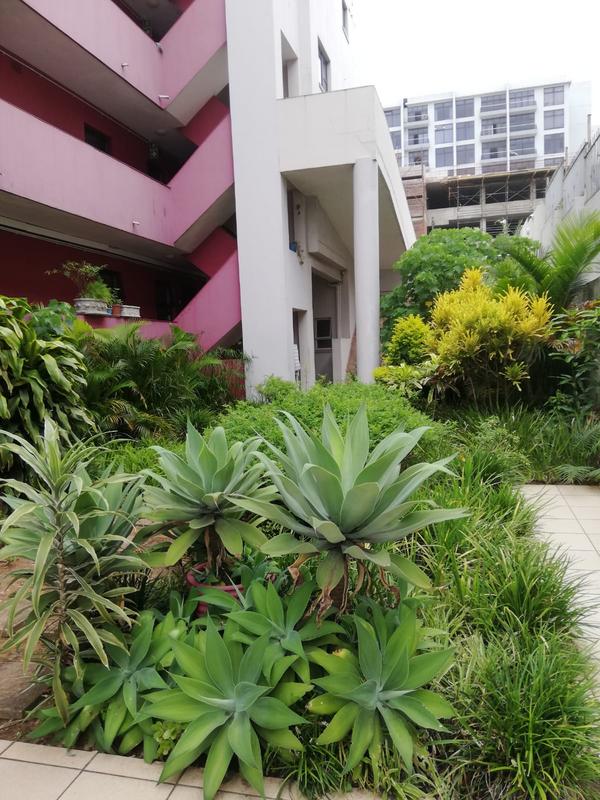 To Let 2 Bedroom Property for Rent in Overport KwaZulu-Natal