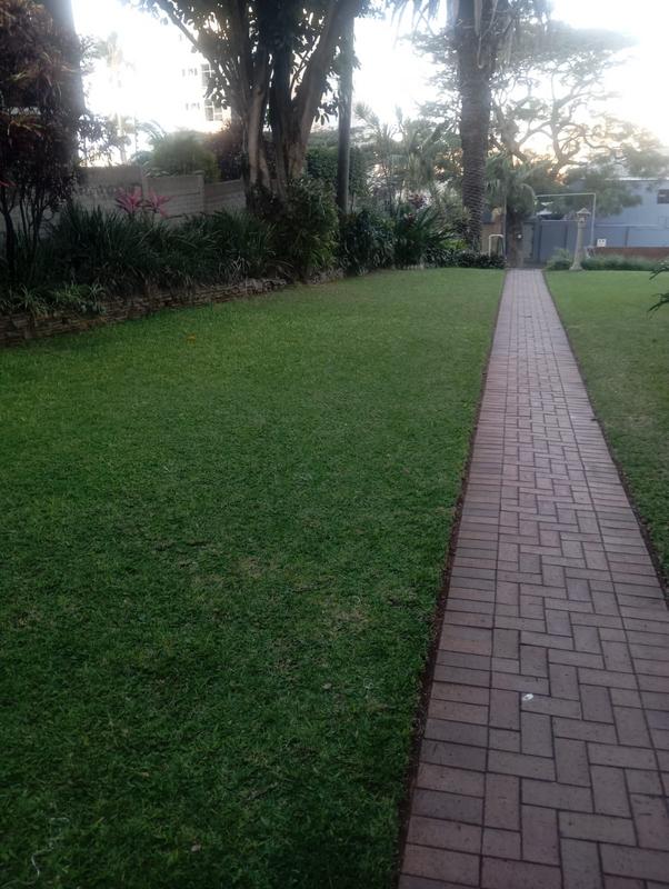 To Let 2 Bedroom Property for Rent in Musgrave KwaZulu-Natal