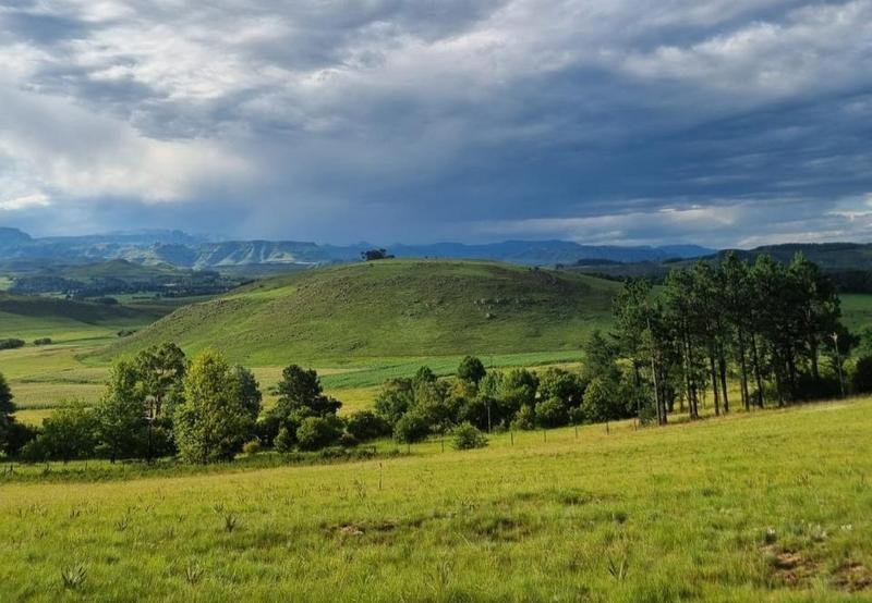 0 Bedroom Property for Sale in Underberg KwaZulu-Natal
