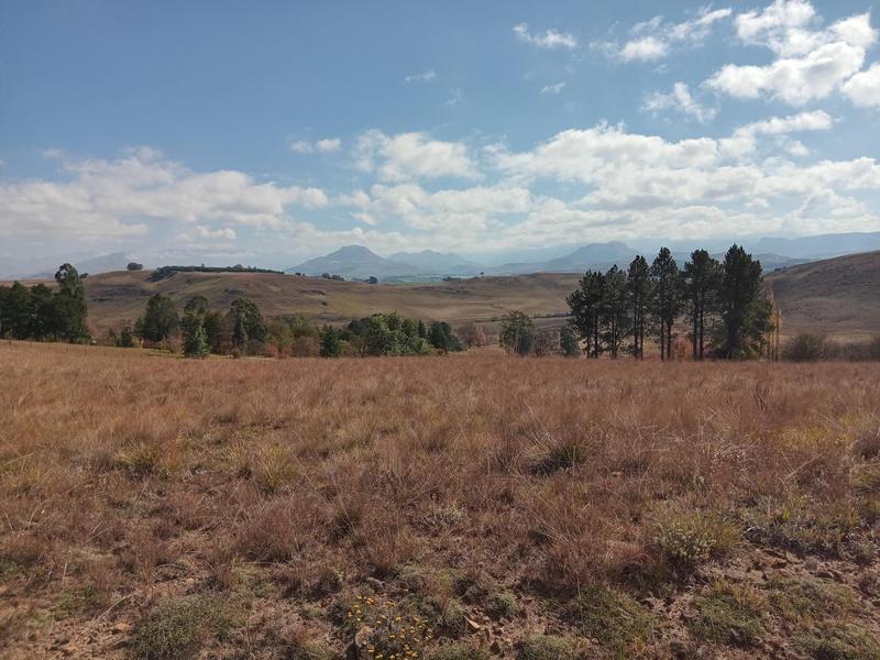 0 Bedroom Property for Sale in Underberg KwaZulu-Natal