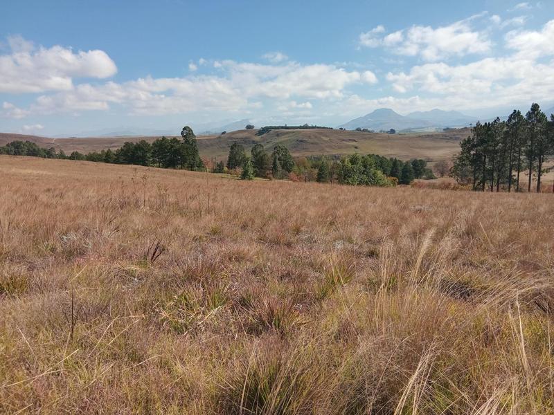 0 Bedroom Property for Sale in Underberg KwaZulu-Natal